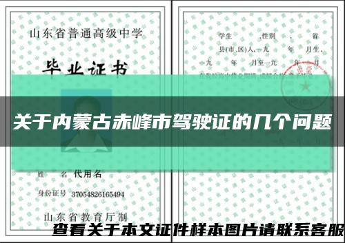 关于内蒙古赤峰市驾驶证的几个问题缩略图