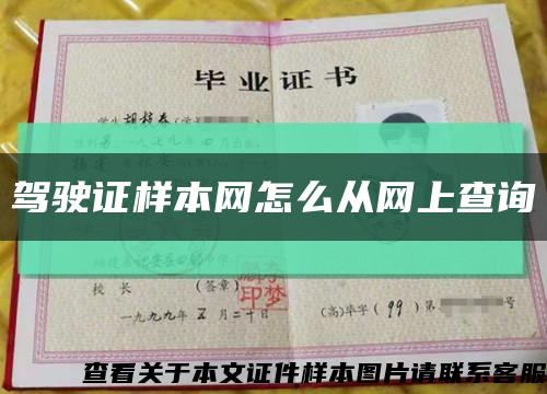 驾驶证样本网怎么从网上查询缩略图