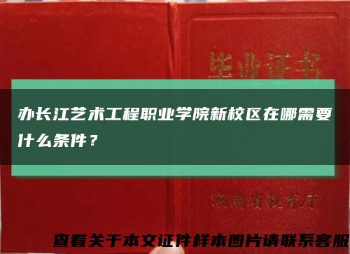 办长江艺术工程职业学院新校区在哪需要什么条件？缩略图