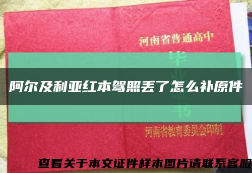 阿尔及利亚红本驾照丢了怎么补原件缩略图
