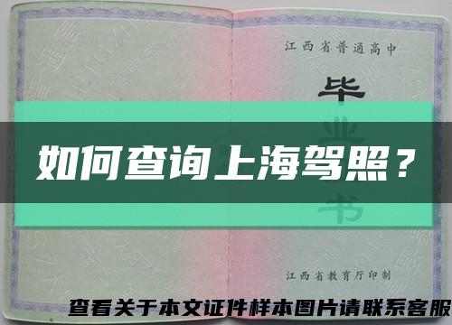 如何查询上海驾照？缩略图