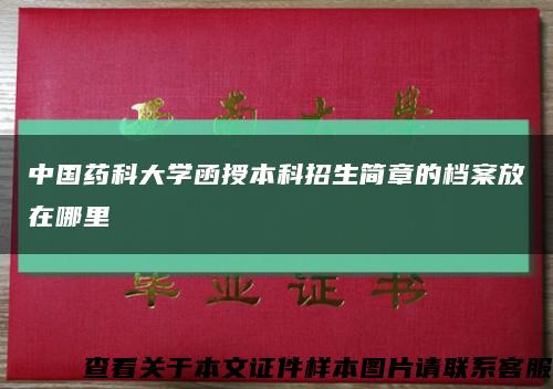 中国药科大学函授本科招生简章的档案放在哪里缩略图