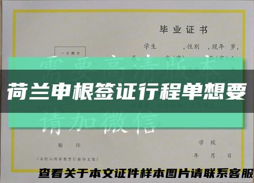 荷兰申根签证行程单想要缩略图
