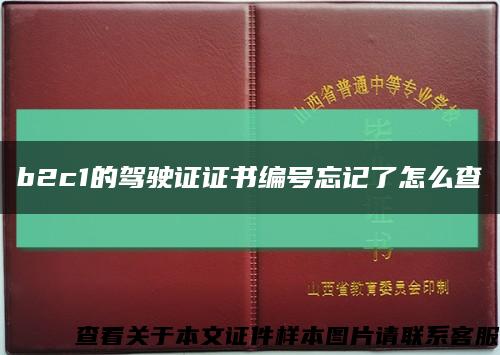 b2c1的驾驶证证书编号忘记了怎么查缩略图