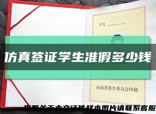 仿真签证学生准假多少钱缩略图