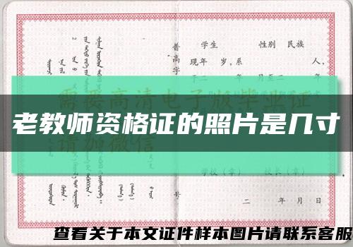 老教师资格证的照片是几寸缩略图