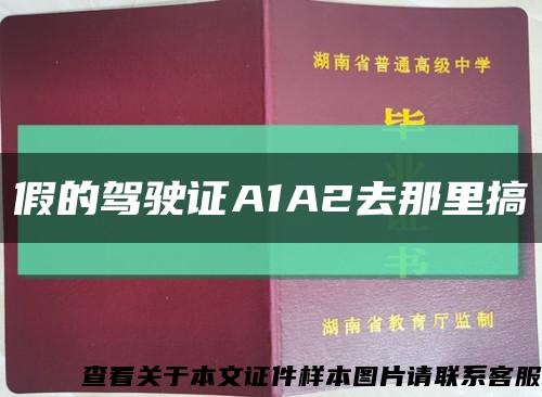 假的驾驶证A1A2去那里搞缩略图