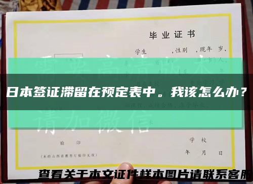 日本签证滞留在预定表中。我该怎么办？缩略图