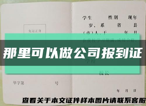 那里可以做公司报到证缩略图