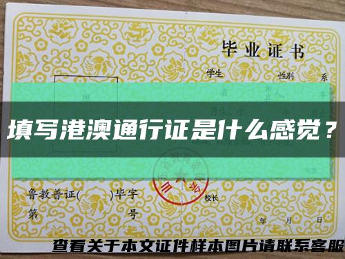 填写港澳通行证是什么感觉？缩略图