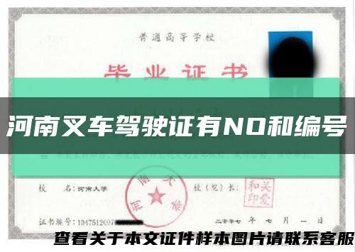 河南叉车驾驶证有NO和编号缩略图