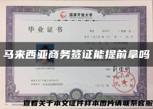 马来西亚商务签证能提前拿吗缩略图