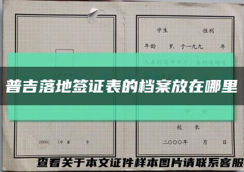 普吉落地签证表的档案放在哪里缩略图