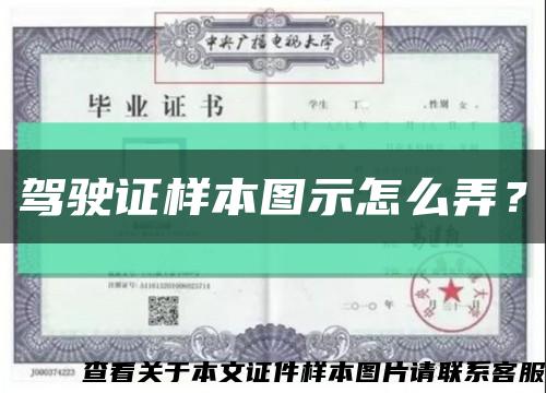 驾驶证样本图示怎么弄？缩略图
