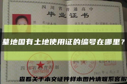 墓地国有土地使用证的编号在哪里？缩略图