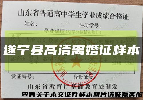 遂宁县高清离婚证样本缩略图