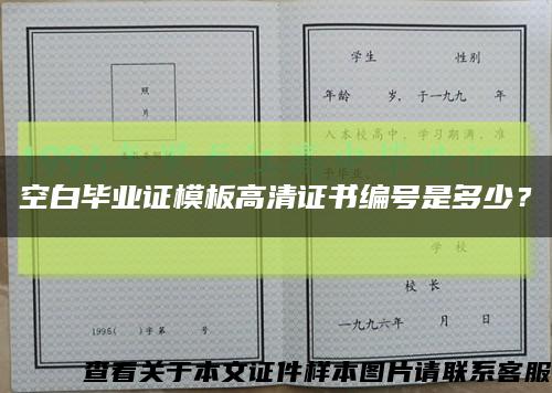 空白毕业证模板高清证书编号是多少？缩略图