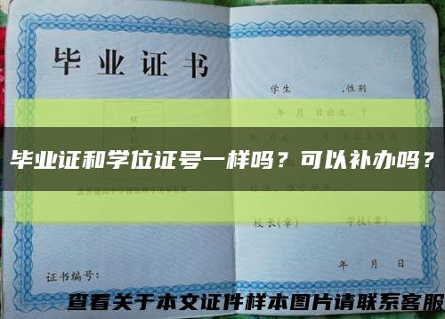 毕业证和学位证号一样吗？可以补办吗？缩略图