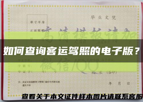 如何查询客运驾照的电子版？缩略图