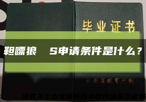 靼嘌狼┲ぴS申请条件是什么？缩略图