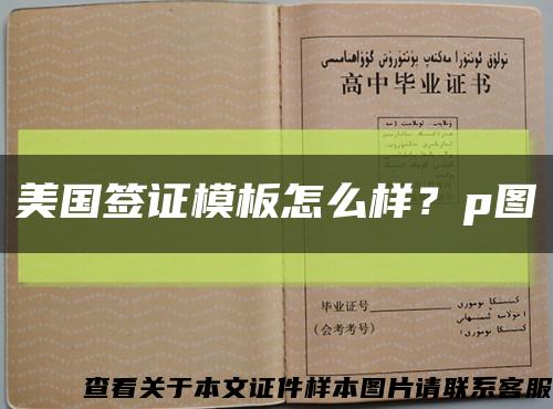 美国签证模板怎么样？p图缩略图