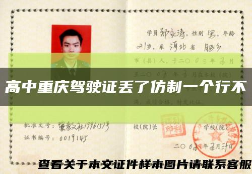 高中重庆驾驶证丢了仿制一个行不缩略图