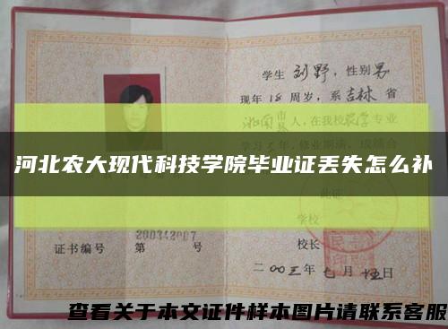 河北农大现代科技学院毕业证丢失怎么补缩略图
