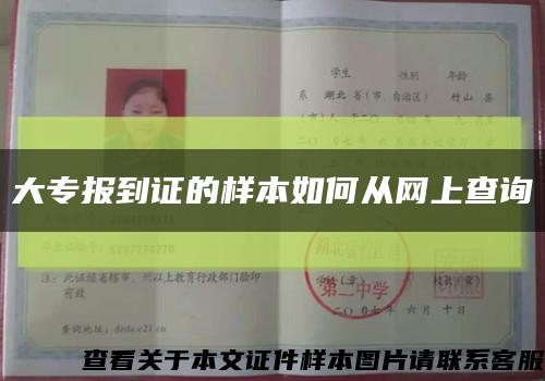 大专报到证的样本如何从网上查询缩略图