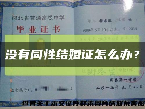 没有同性结婚证怎么办？缩略图