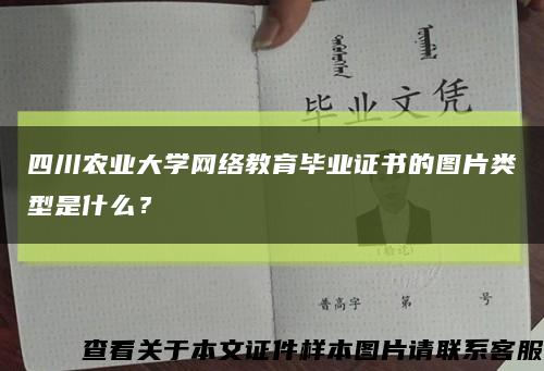 四川农业大学网络教育毕业证书的图片类型是什么？缩略图