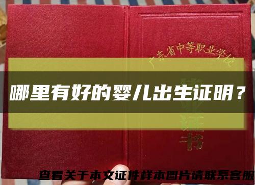 哪里有好的婴儿出生证明？缩略图