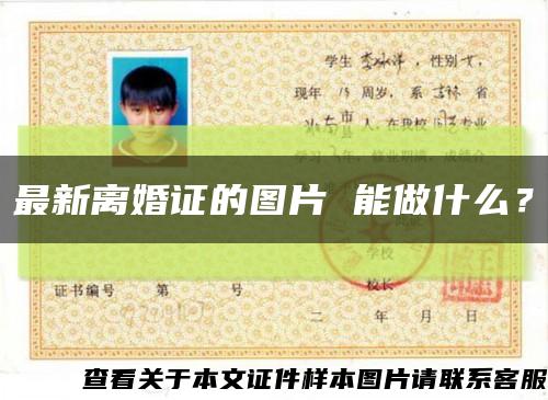 最新离婚证的图片 能做什么？缩略图