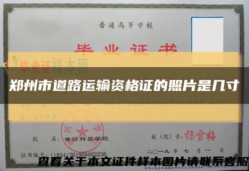 郑州市道路运输资格证的照片是几寸缩略图