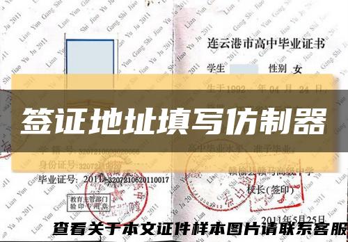 签证地址填写仿制器缩略图