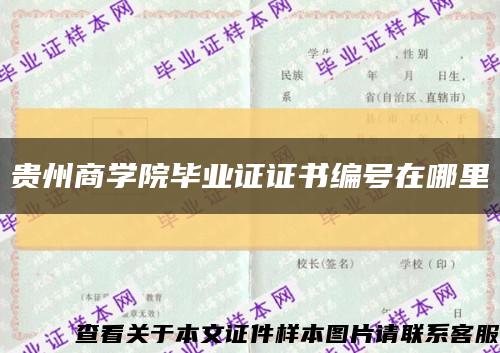贵州商学院毕业证证书编号在哪里缩略图