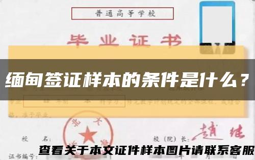 缅甸签证样本的条件是什么？缩略图
