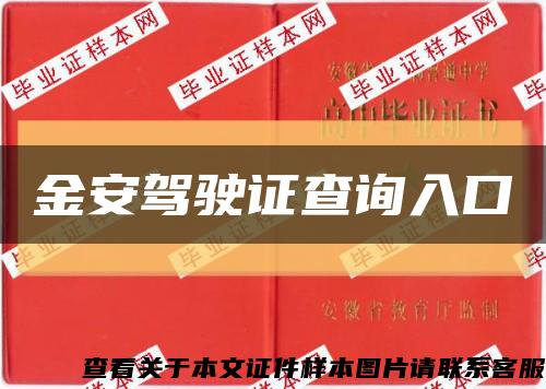 金安驾驶证查询入口缩略图