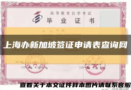 上海办新加坡签证申请表查询网缩略图