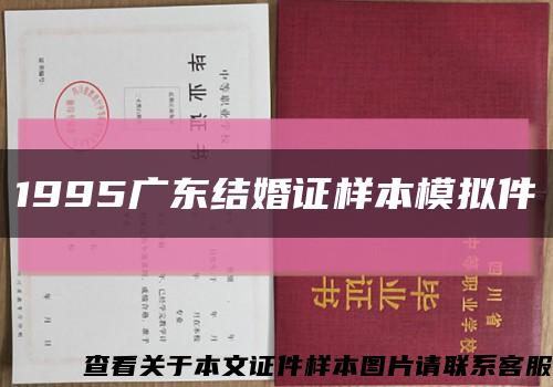 1995广东结婚证样本模拟件缩略图