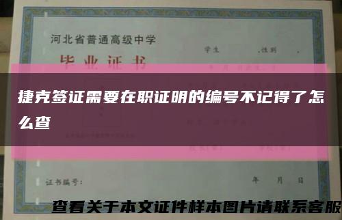 捷克签证需要在职证明的编号不记得了怎么查缩略图