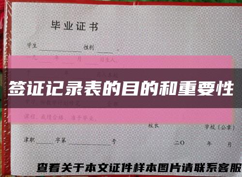 签证记录表的目的和重要性缩略图