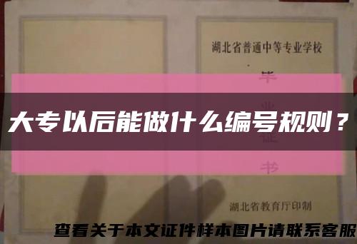 大专以后能做什么编号规则？缩略图