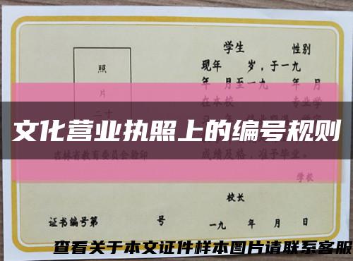 文化营业执照上的编号规则缩略图