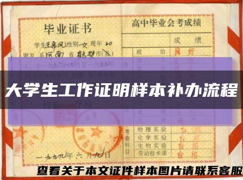 大学生工作证明样本补办流程缩略图
