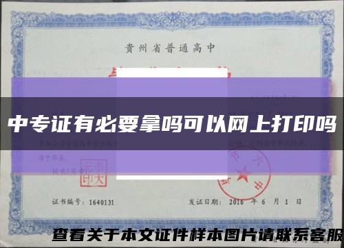 中专证有必要拿吗可以网上打印吗缩略图
