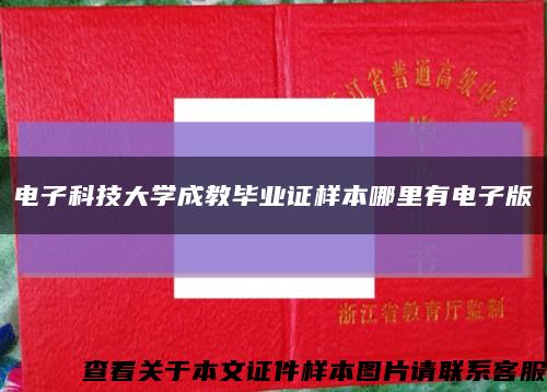 电子科技大学成教毕业证样本哪里有电子版缩略图