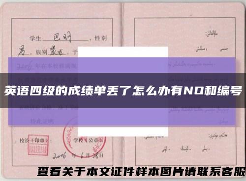 英语四级的成绩单丢了怎么办有NO和编号缩略图