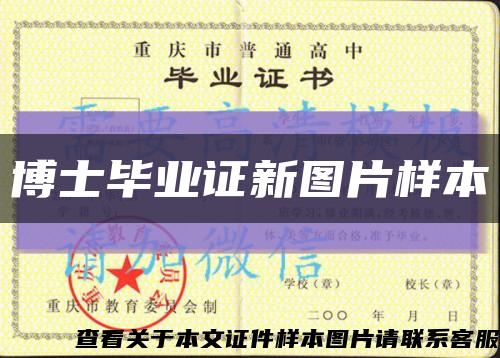 博士毕业证新图片样本缩略图