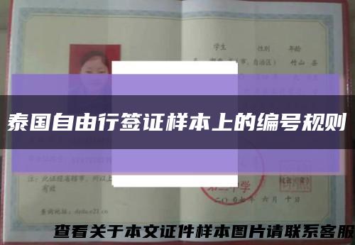 泰国自由行签证样本上的编号规则缩略图
