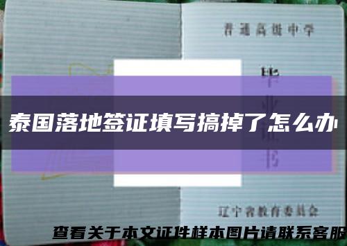 泰国落地签证填写搞掉了怎么办缩略图
